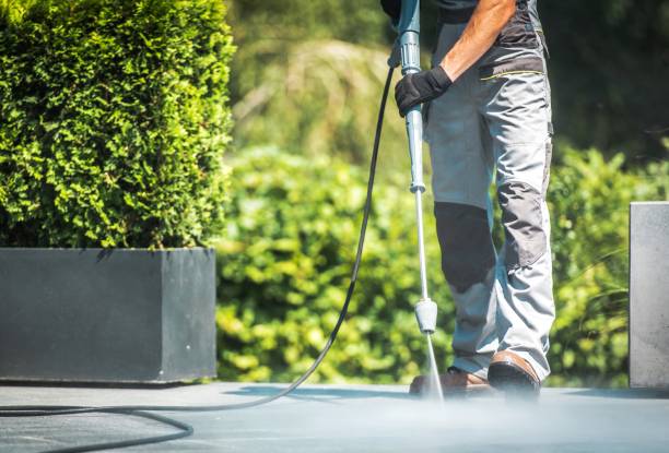 Best Roof Washing  in Minnetrista, MN