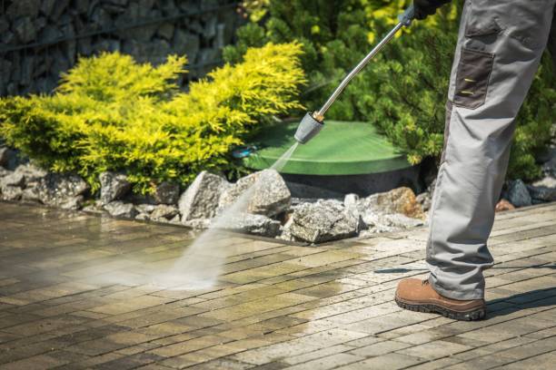 Best Solar Panel Cleaning  in Minnetrista, MN