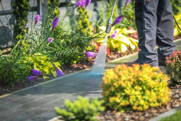 Reliable Minnetrista, MN Pressure Washing Services Solutions