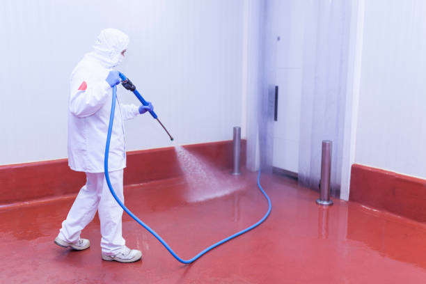 Best Warehouse Cleaning  in Minnetrista, MN