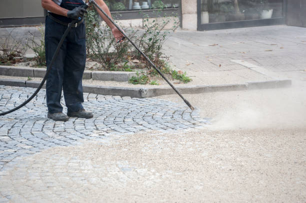 Best Dumpster Area Cleaning  in Minnetrista, MN