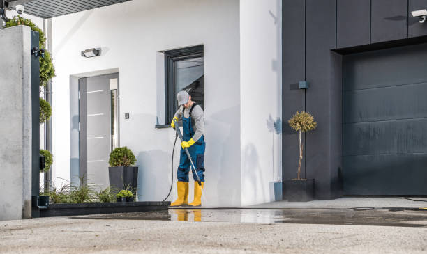 Best House Exterior Washing  in Minnetrista, MN
